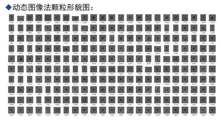 混懸劑顆粒大小的測定.jpg